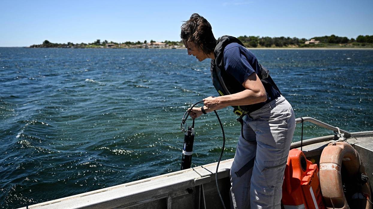 A researcher measures ocean temperatures and oxygen levels.