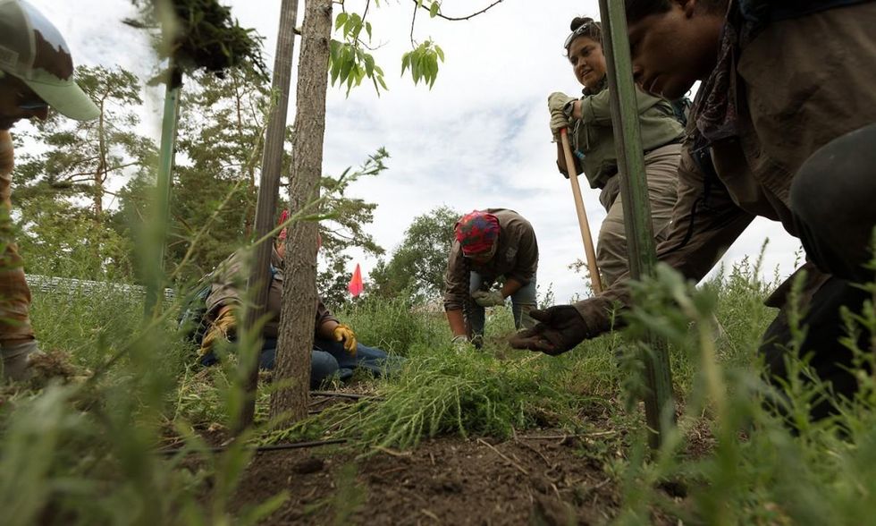 A rewarding day of removing invasive weeds from the Malheur National Wildlife Refuge. (Photo: Sage Brown)