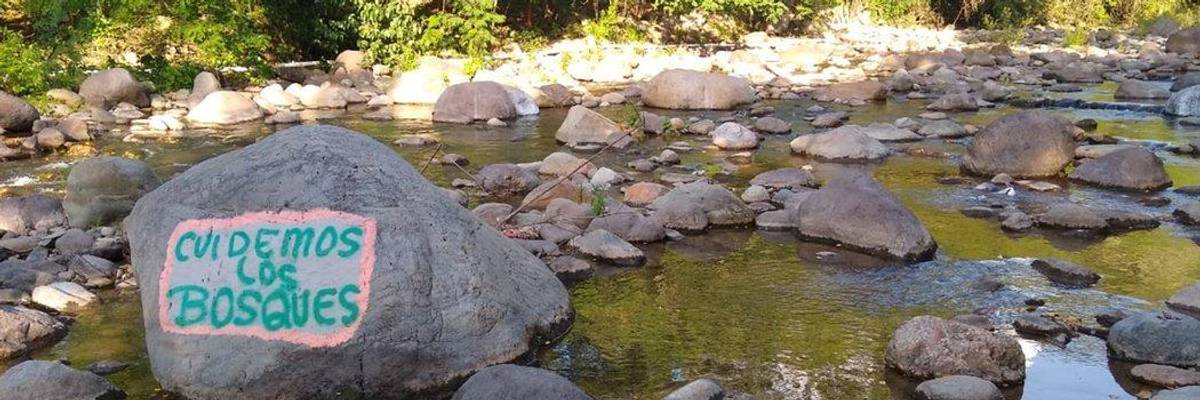 'Fleeing Not Migrating'