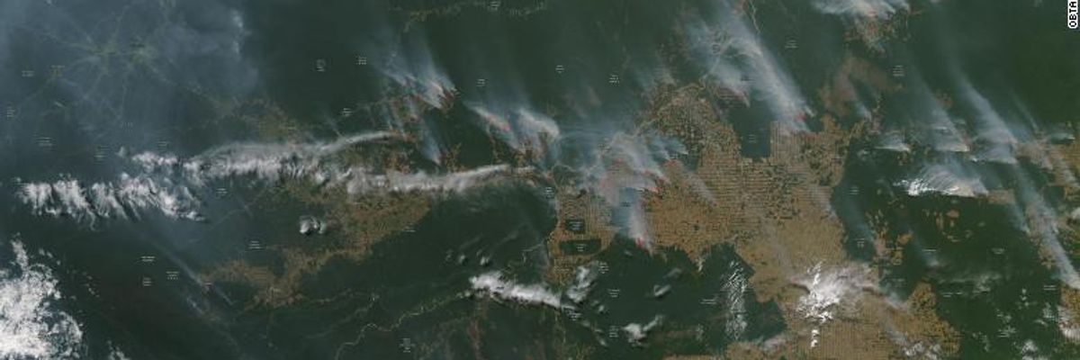 The Amazon Is Burning Because the World Eats So Much Meat