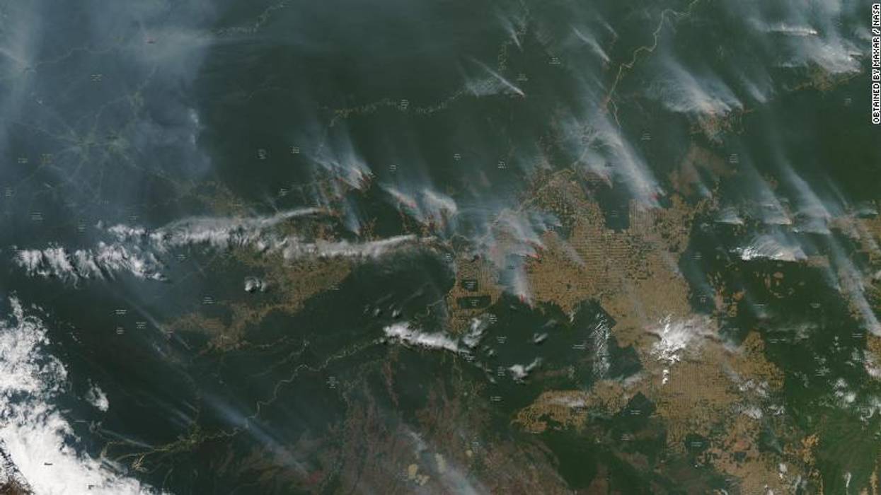 The Amazon Is Burning Because the World Eats So Much Meat