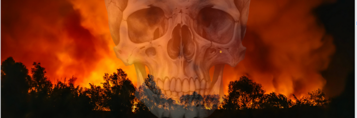 A skull is superimposed on a burning forest. 