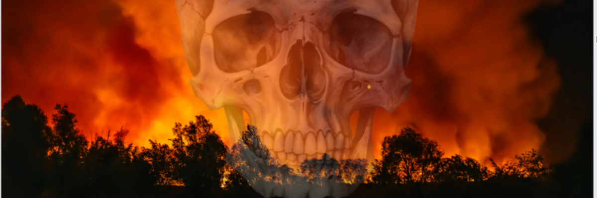 A skull is superimposed on a burning forest.