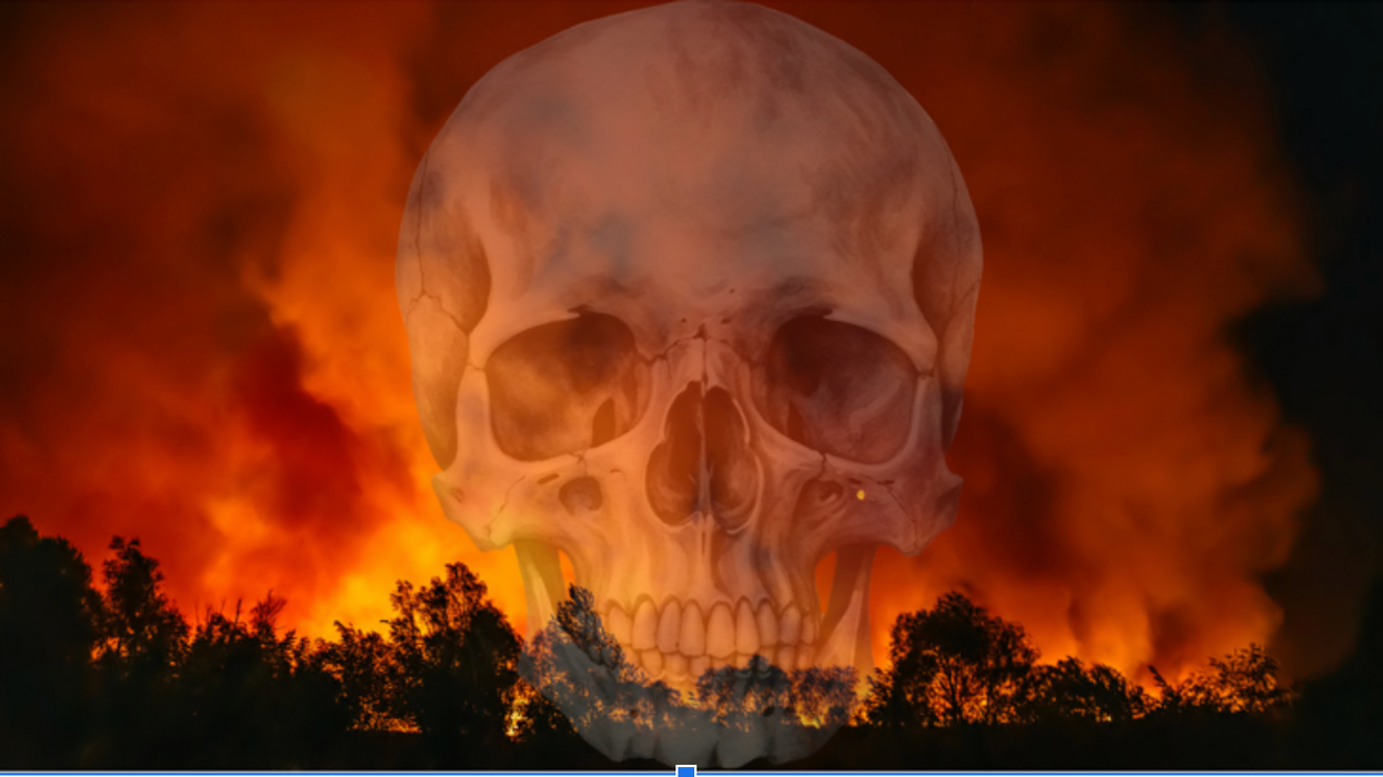A skull is superimposed on a burning forest.