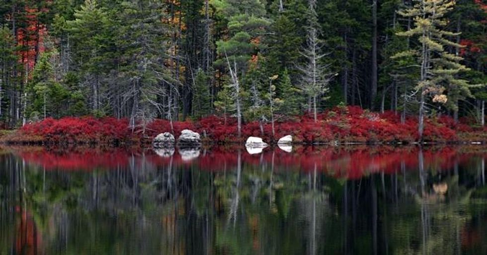A still beaver pond in the Katahadin Woods and Waters, another monument under Zinke's review. (Photo: Katahdin WoodsandWaters/flickr/cc)