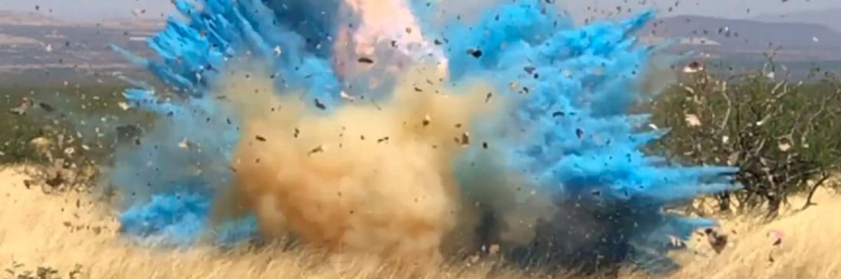 Let 'Gender Reveal' Parties Burn