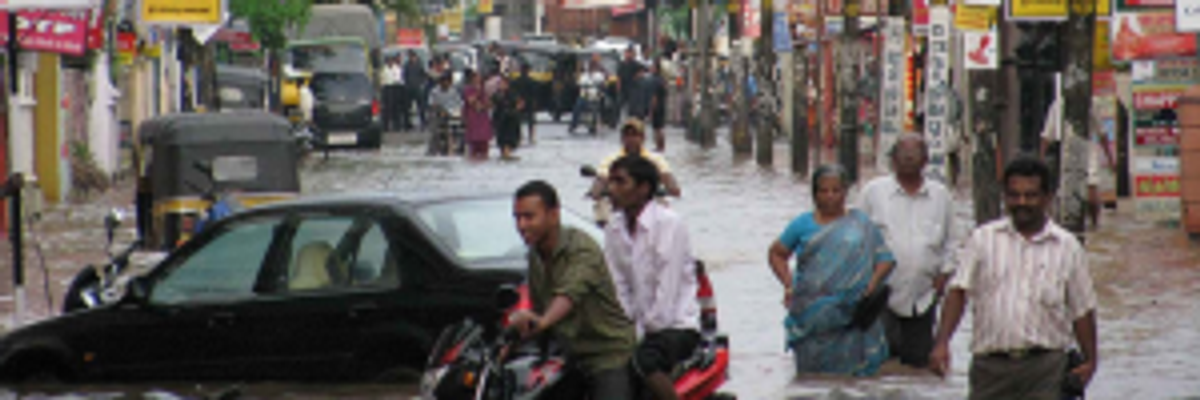 After the Fires, Come the Floods