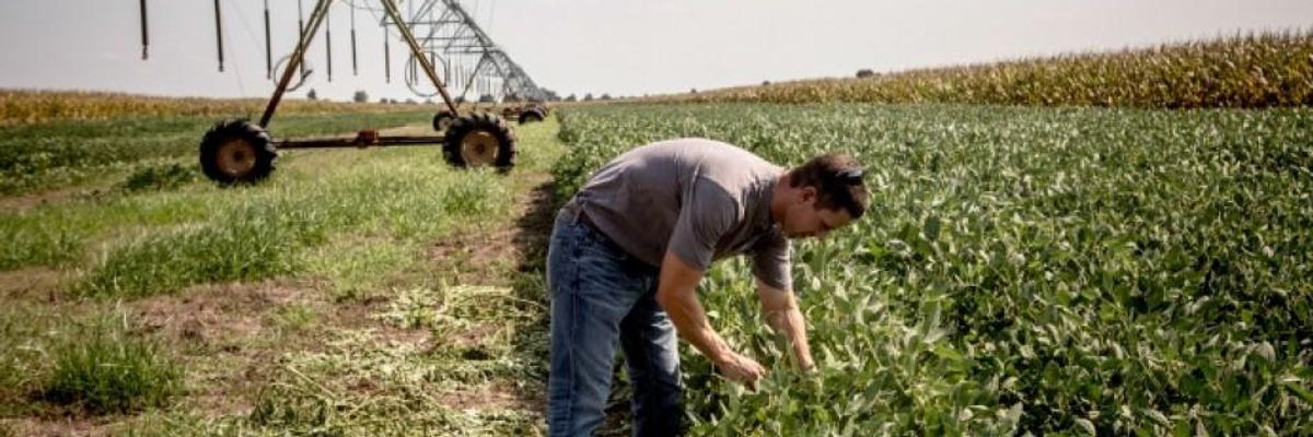 We Need a Green New Deal for Farmland