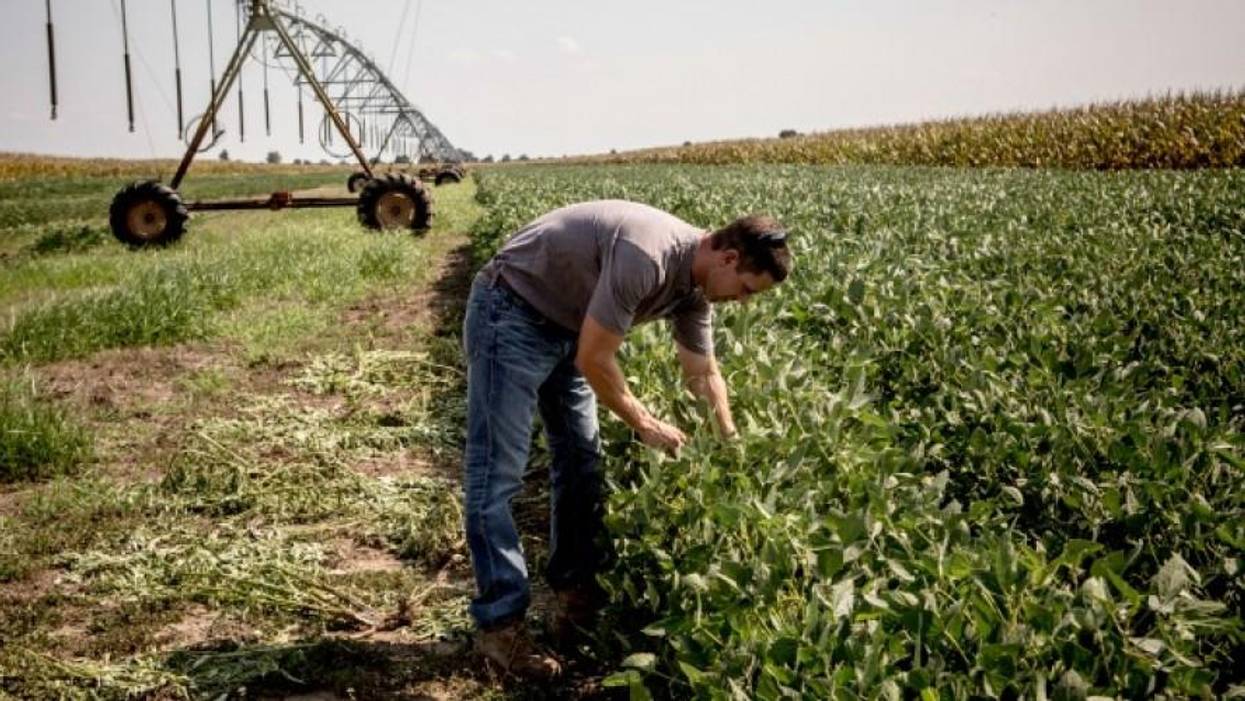 We Need a Green New Deal for Farmland