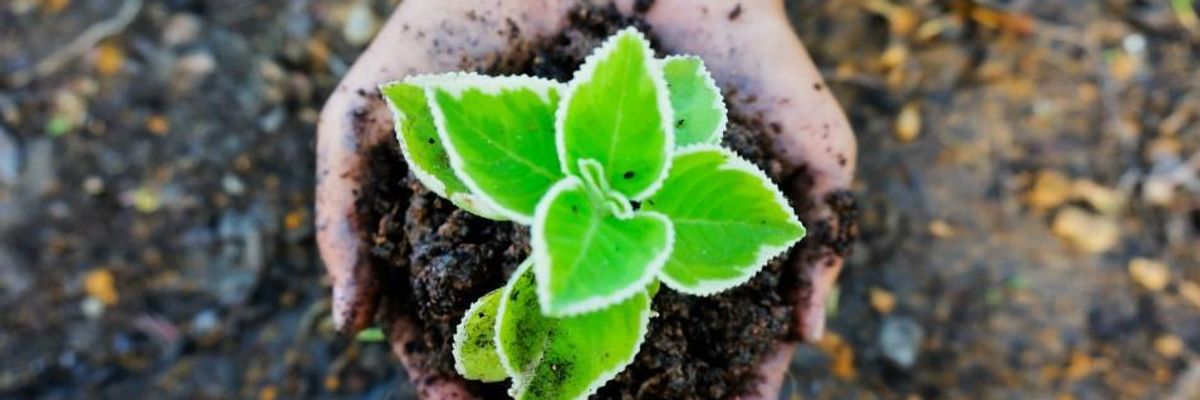 We Can't Do It Ourselves