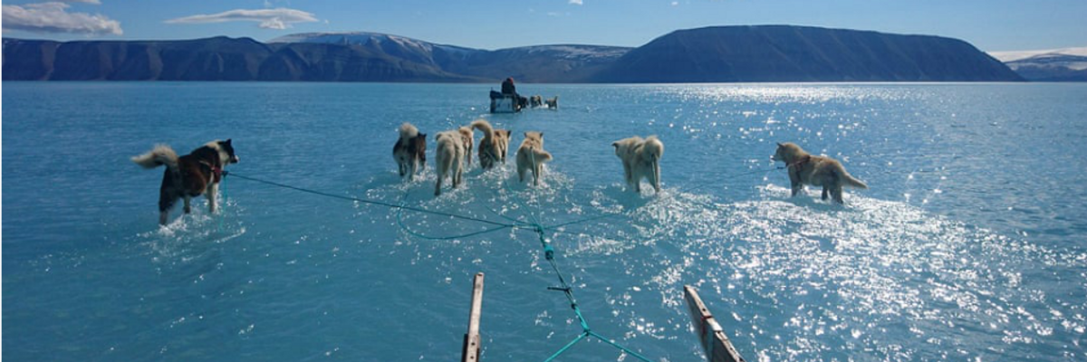 'This Should Scare the Hell Out of You': Photo of Greenland Sled Dog Teams Walking on Melted Water Goes Viral