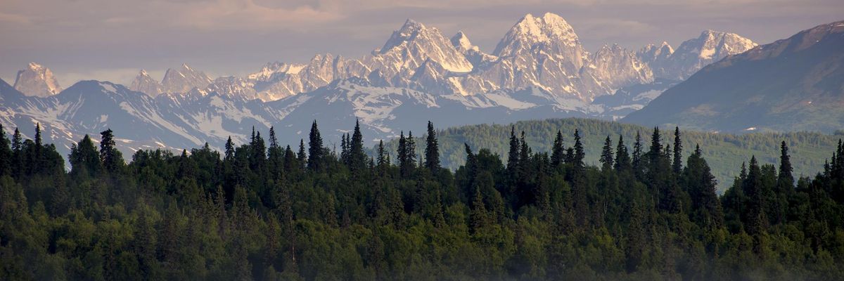 A thin layer of fog blanketed over evergreens with mountains in the background at sunset