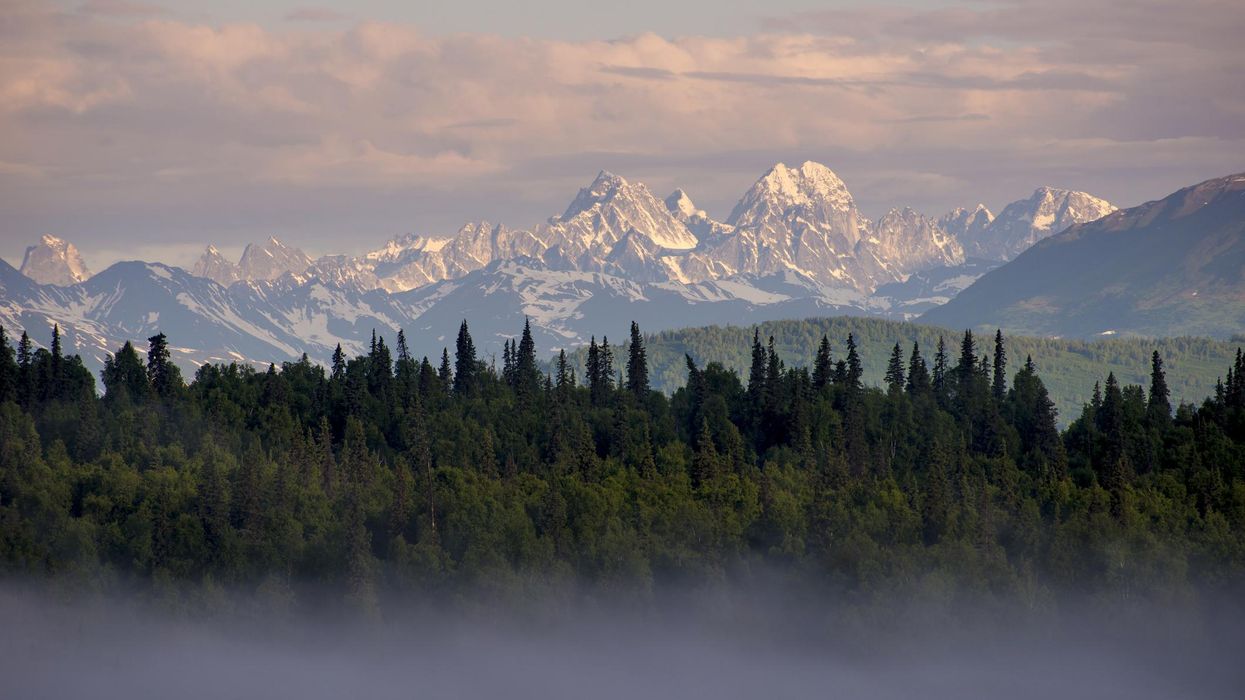 A thin layer of fog blanketed over evergreens with mountains in the background at sunset