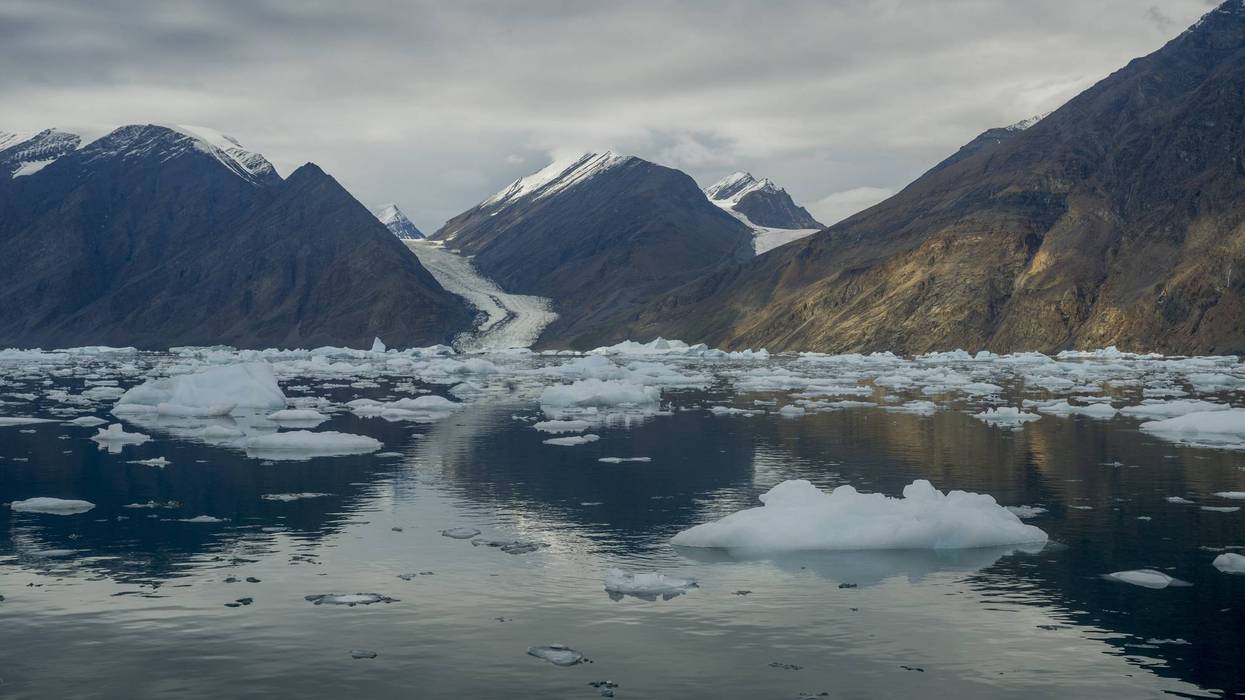 A tidewater glacier flowing down through a valley from the