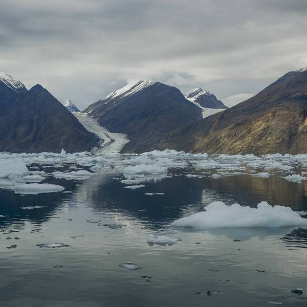 A tidewater glacier flowing down through a valley from the