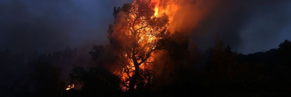 A tree burns against a dark, smoky sky.