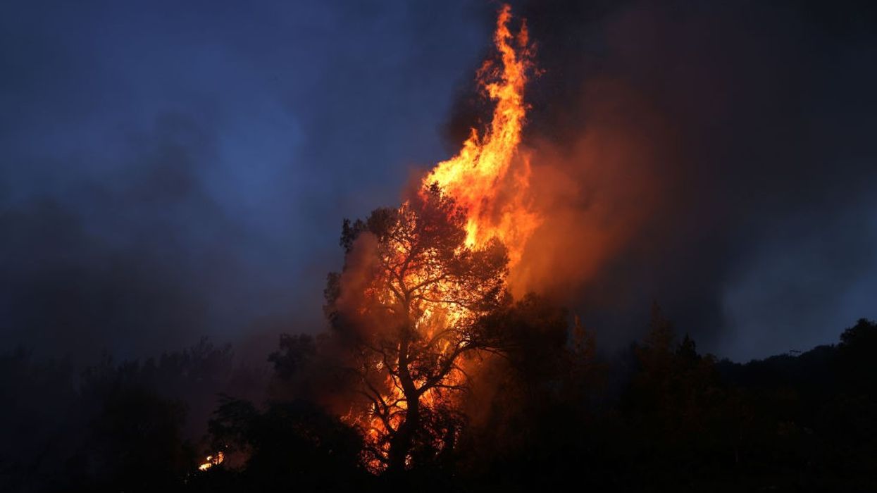 A tree burns against a dark, smoky sky.