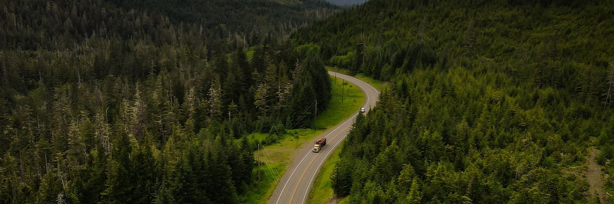 A truck carrying old-growth trees drives out of Tongass National Forest.