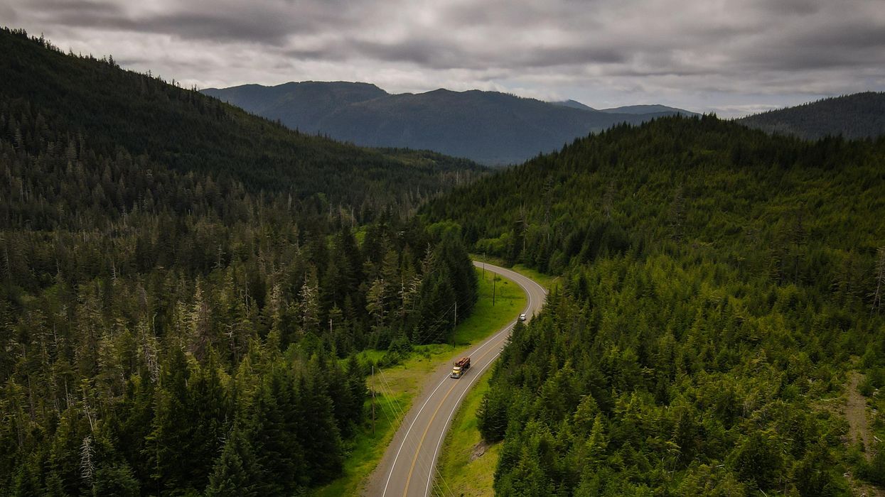 A truck carrying old-growth trees drives out of Tongass National Forest.