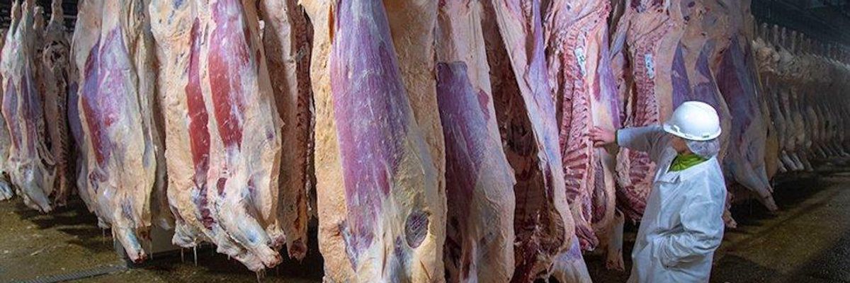 'A Recipe for Disaster': Consumer Safety Groups Sue USDA Over Trump's Effort to Privatize Inspections for Pork Industry