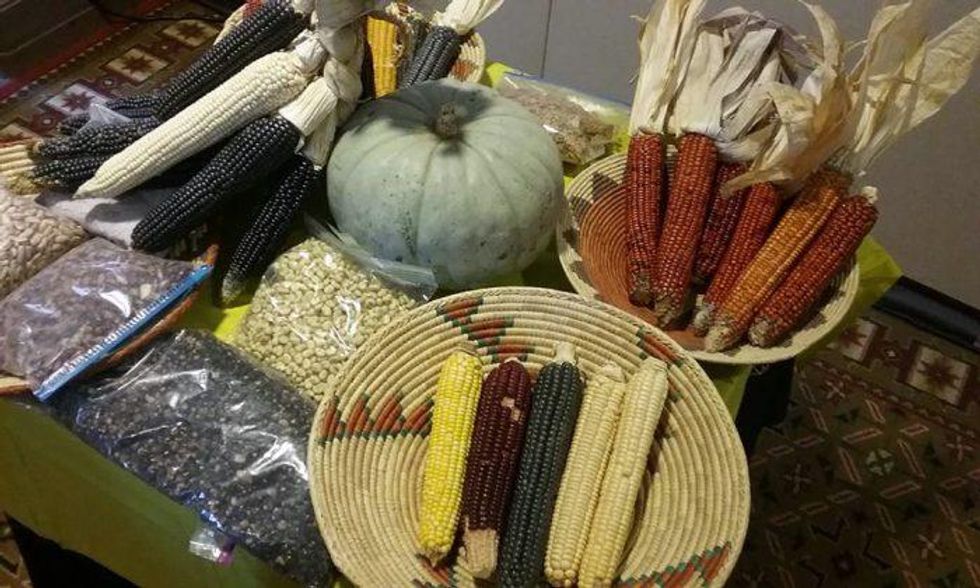 A variety of native seeds on display on a table. Photo courtesy of Clayton Brascoupe.