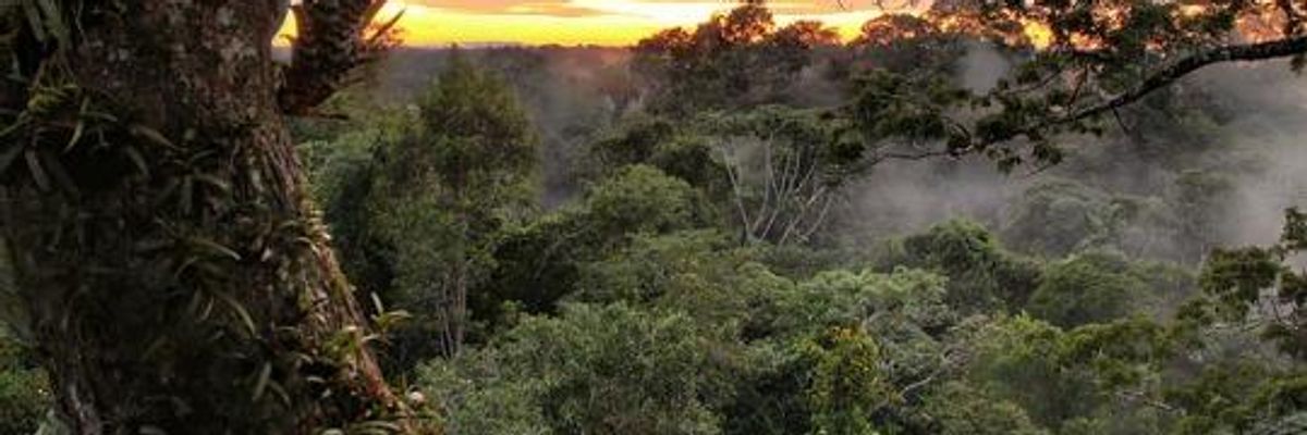 Ecuador 'Green-lights Environmental Disaster' in Biodiversity Hotspot