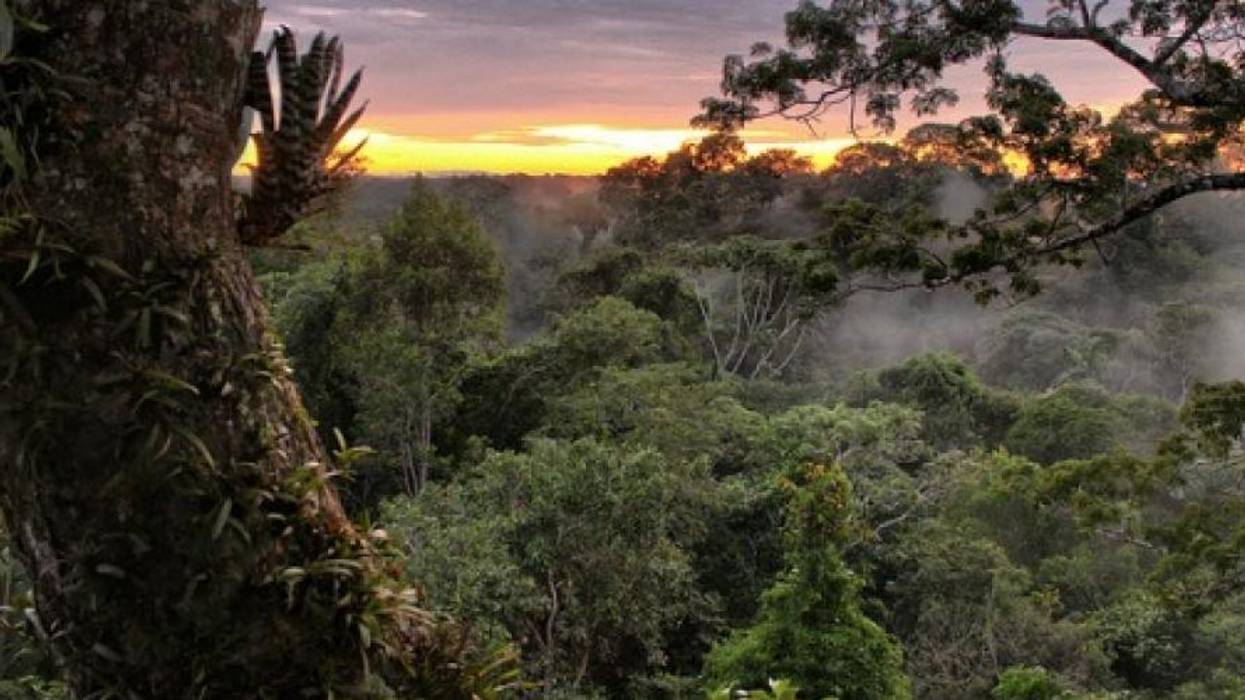 Biodiversity and the Society of Superlatives