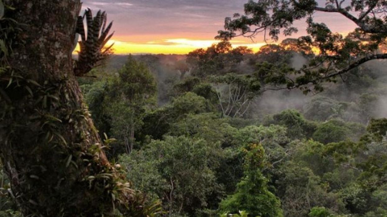 Biodiversity and the Society of Superlatives