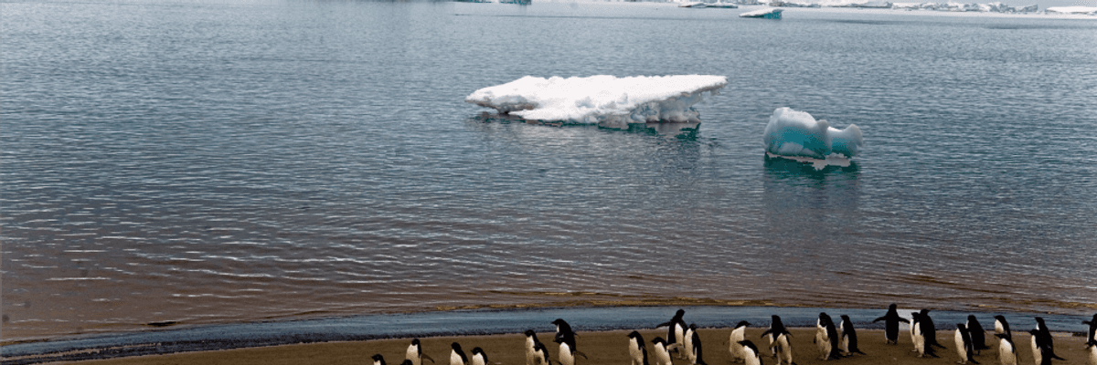 Temperature in Antarctica Soars Past 69degF as NOAA Reports Last Month Was World's Hottest January on Record