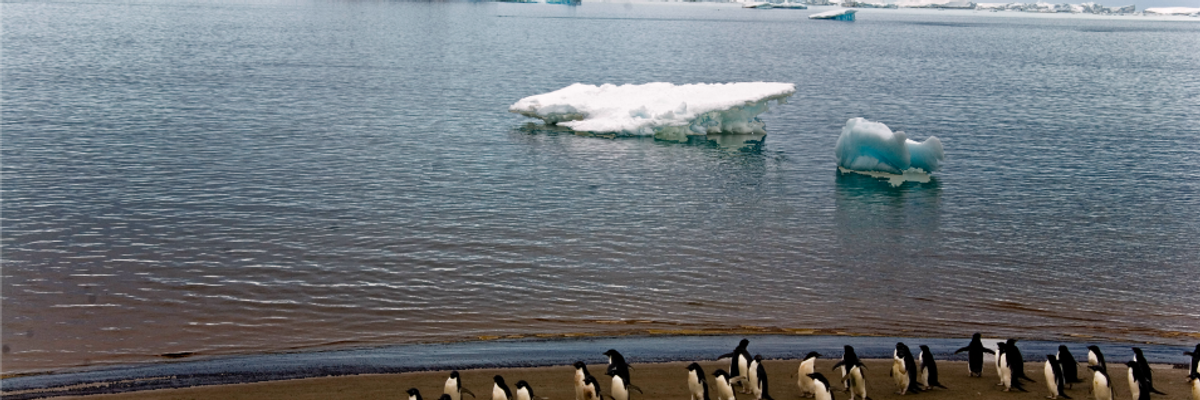 Temperature in Antarctica Soars Past 69degF as NOAA Reports Last Month Was World's Hottest January on Record