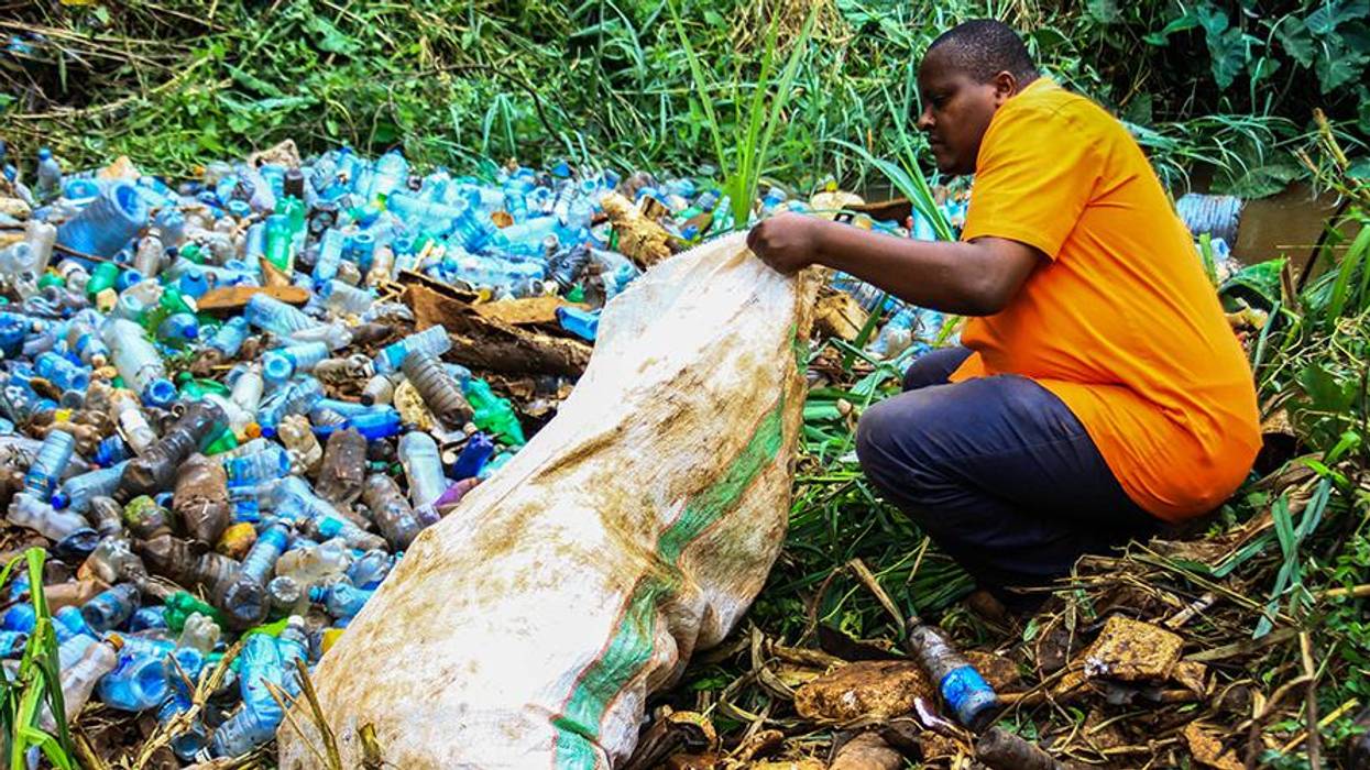 A volunteer removes plastic bottles and other trash polluting Ruaka River in Nairobi, Kenya.