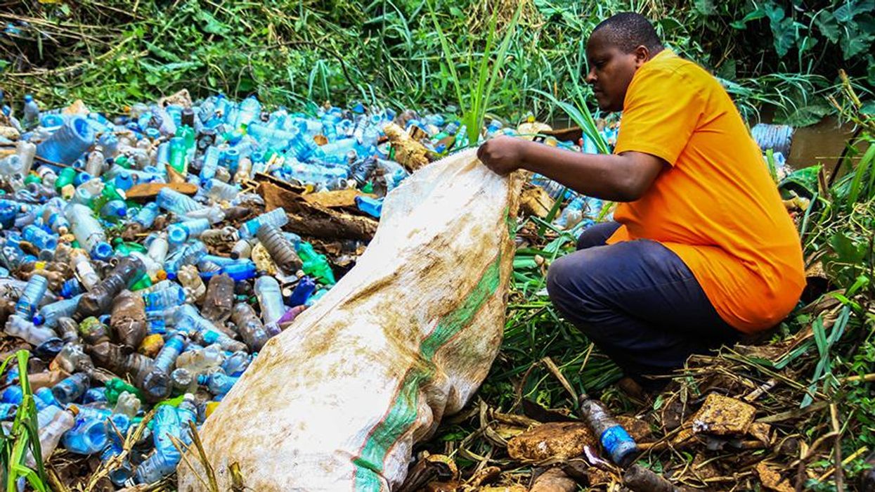 A volunteer removes plastic bottles and other trash polluting Ruaka River in Nairobi, Kenya.