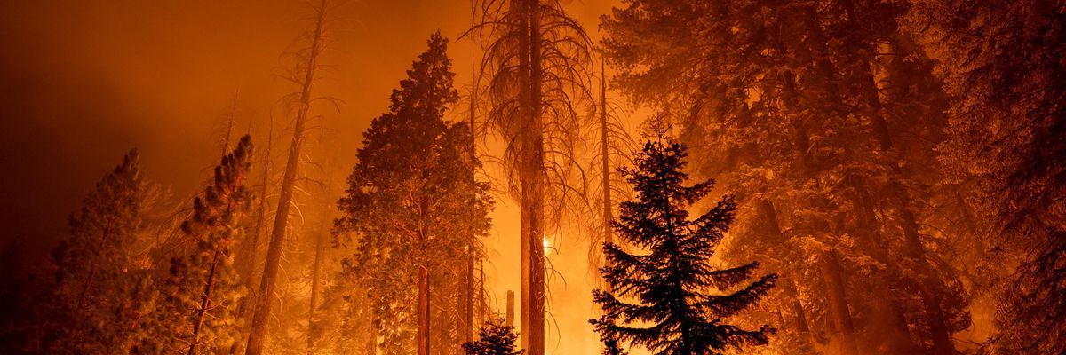 A wildfire burns in California