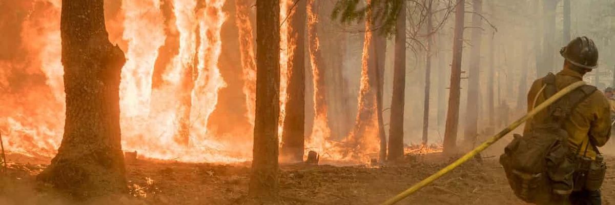 'No, Secretary Zinke. Record-Breaking Wildfires in California Have Everything to Do with Climate Change'