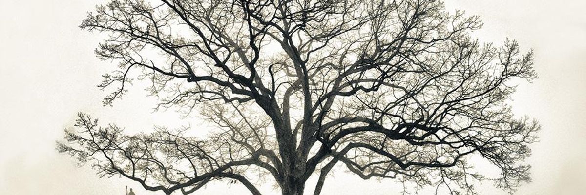 A witness tree