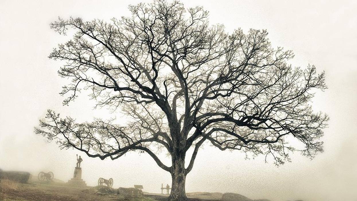 A witness tree