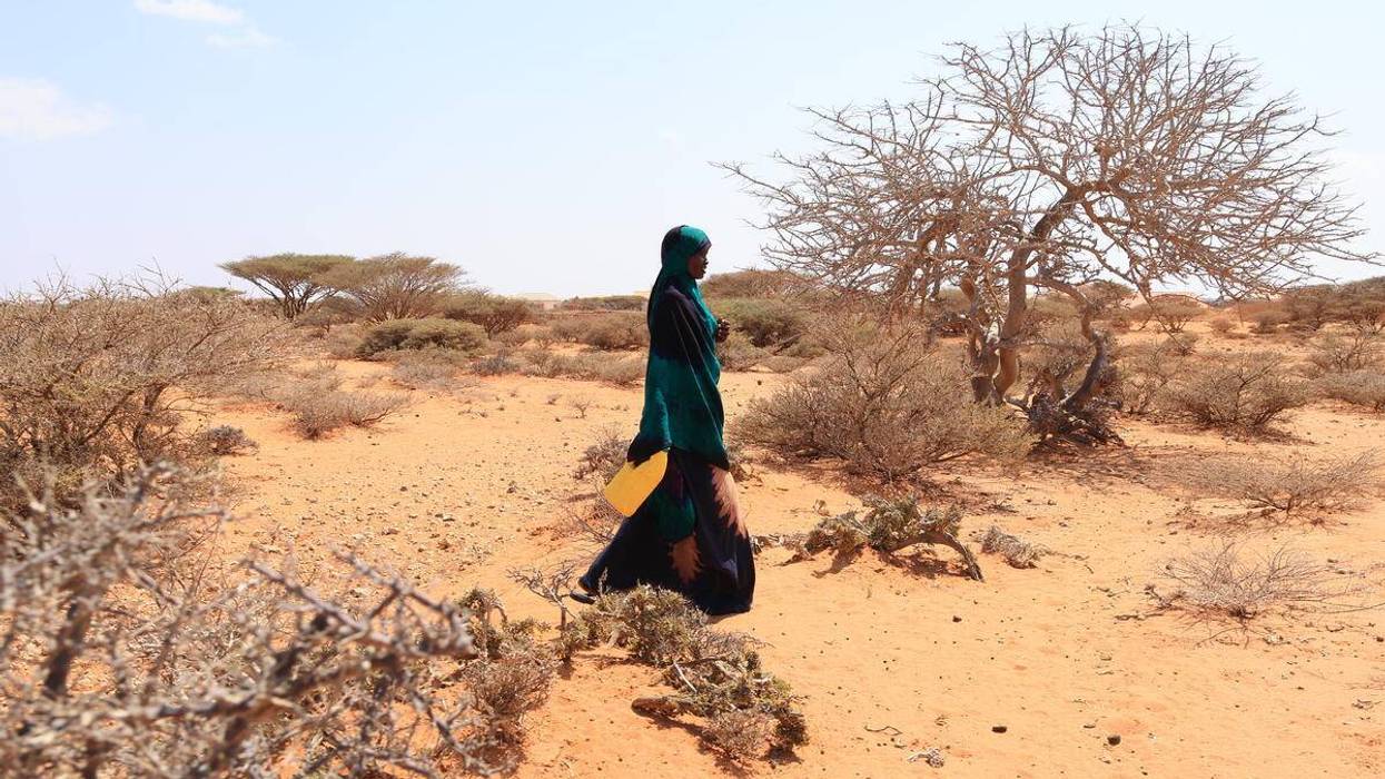 Nearly 50 Million More People to Face 'Massive Threat' of Acute Hunger Due to El Niño, UN Warns