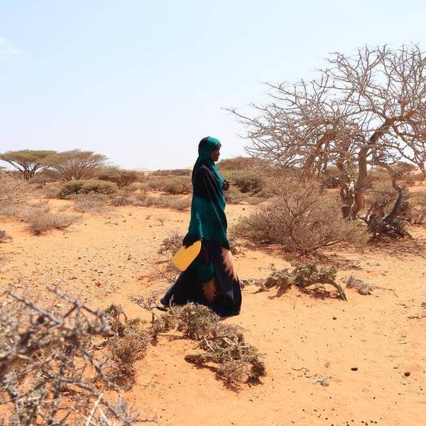 Nearly 50 Million More People to Face 'Massive Threat' of Acute Hunger Due to El Niño, UN Warns