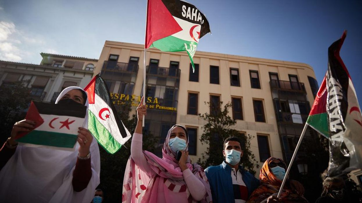 US Must Halt Renewed War Between Morocco and Polisario