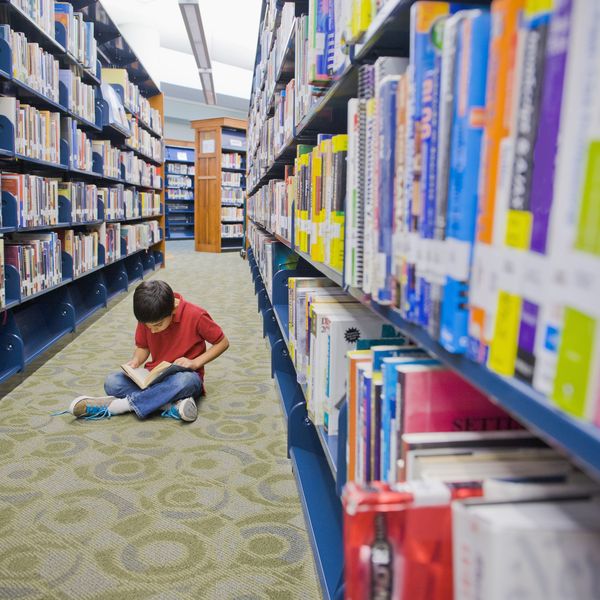 Librarians and Publishers Alarmed as Tennessee Libraries Shut Down for GOP 'Book Purge'