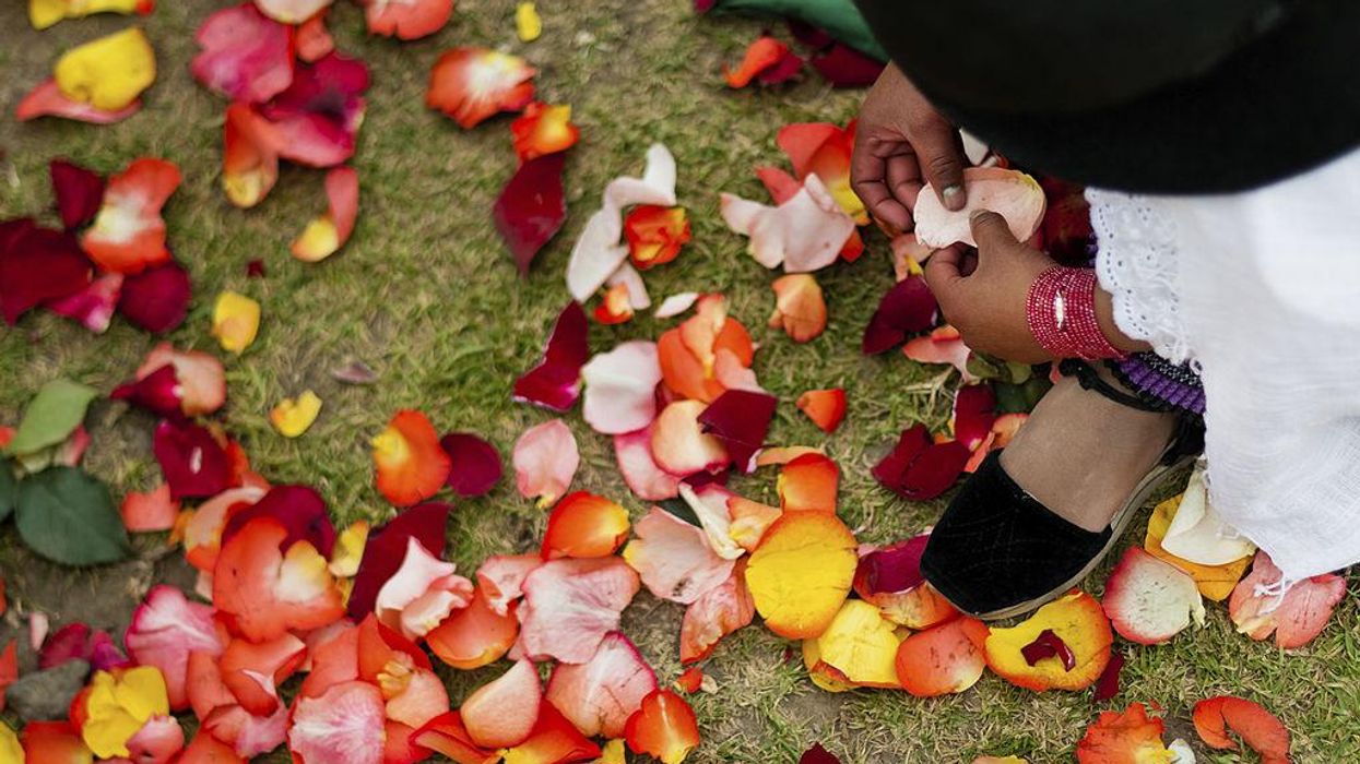 A young girl plays with colorful rose petals during the Inti Raymi celebration in the village of Pesillo, Ecuador