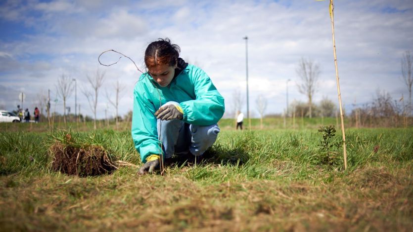 A young woman plants a tree in a meadow.