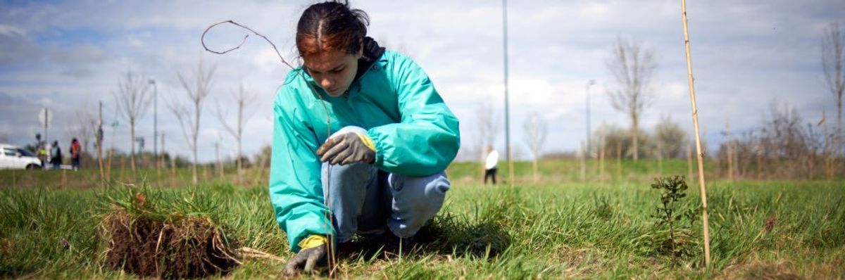 A young woman plants a young tree in the meadow.