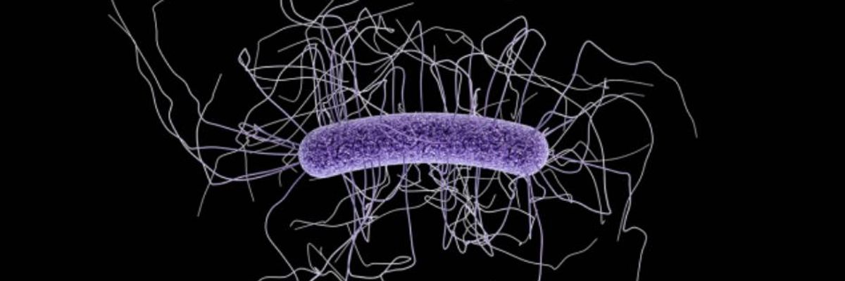 As Superbugs Infect Millions and Kill Tens of Thousands Each Year, CDC Chief Warns Post-Antibiotic Era 'Already Here'