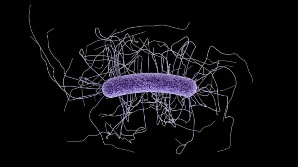 As Superbugs Infect Millions and Kill Tens of Thousands Each Year, CDC Chief Warns Post-Antibiotic Era 'Already Here'