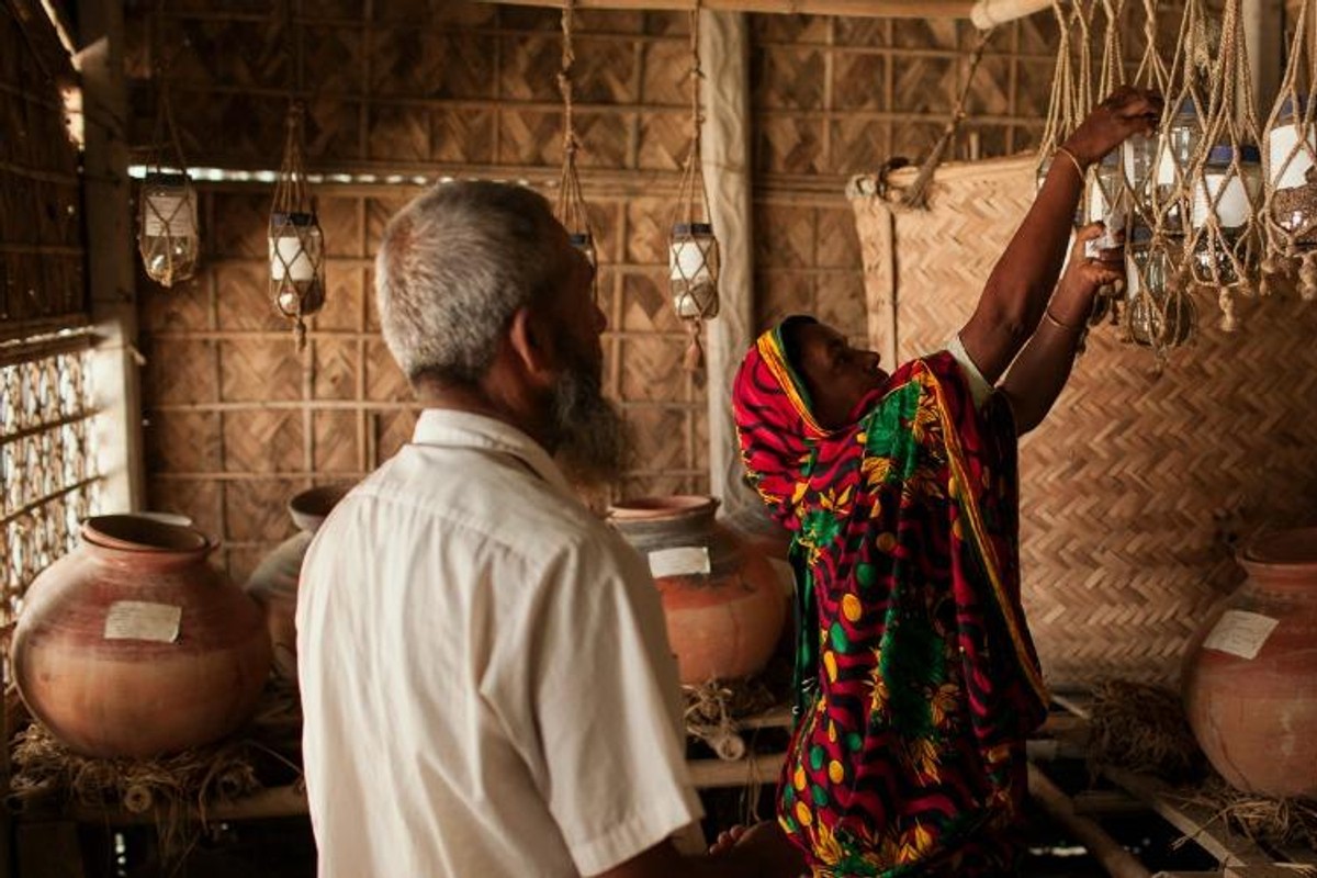 CETA's Threat to Seed Freedom