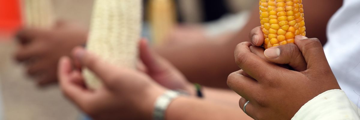 Activists of Greenpeace hold a protest against GM corn in Mexico