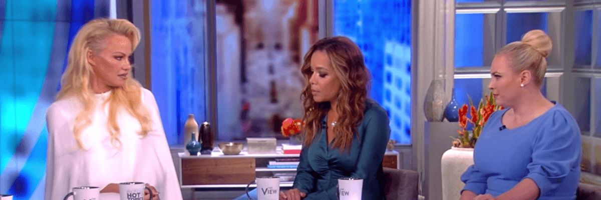 'A Breath of Fresh Air' as Pamela Anderson Takes Meghan McCain to Task Over US War Crimes