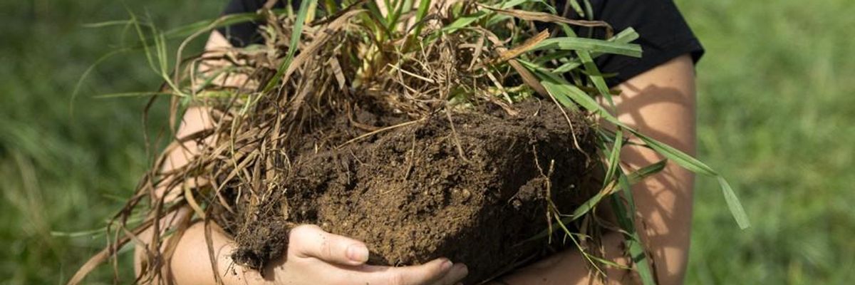 A False Solution: Why Carbon Markets Don't Work for Agriculture