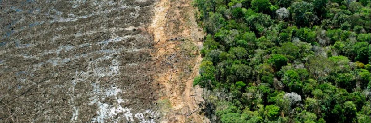 To End Impunity for 'Deliberate Destruction' of Planet, International Lawyers Drafting Plan to Criminalize Ecocide